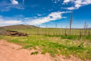 2.5 Acre Pre-Cleared Hillside Lot With Underground Utilities In Upscale Forested Community