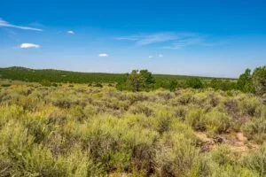 5.7 Acre Corner Lot With Power Close To Mountain Home Reservoir