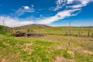 2.5 Acre Pre-Cleared Hillside Lot With Underground Utilities In Upscale Forested Community