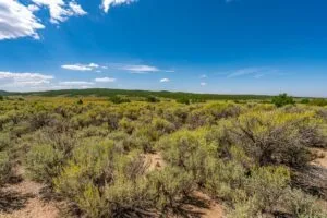 5.7 Acre Corner Lot With Power Close To Mountain Home Reservoir