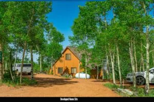 1 Acre Forested Lot In Upscale Community With Power, Underground Utilities And Water Access