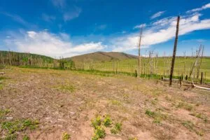 2.5 Acre Pre-Cleared Hillside Lot With Underground Utilities In Upscale Forested Community