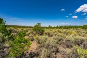 5.7 Acre Corner Lot With Power Close To Mountain Home Reservoir