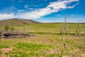 2.5 Acre Pre-Cleared Hillside Lot With Underground Utilities In Upscale Forested Community