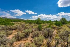 5.7 Acre Corner Lot With Power Close To Mountain Home Reservoir