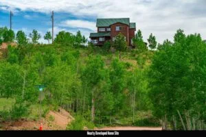 1 Acre Forested Lot In Upscale Community With Power, Underground Utilities And Water Access