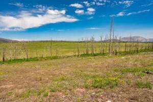 2.5 Acre Pre-Cleared Hillside Lot With Underground Utilities In Upscale Forested Community