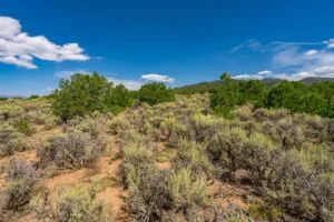 5.7 Acre Corner Lot With Power Close To Mountain Home Reservoir