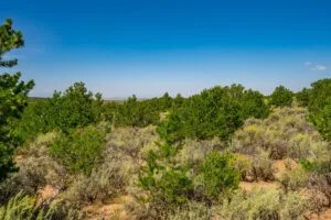 5.7 Acre Corner Lot With Power Close To Mountain Home Reservoir