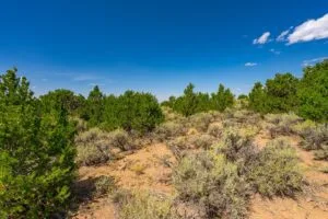 5.7 Acre Corner Lot With Power Close To Mountain Home Reservoir