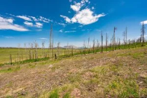 2.5 Acre Pre-Cleared Hillside Lot With Underground Utilities In Upscale Forested Community