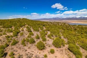 3.2 Acres Hilltop Lot With Power Overlooking Sanchez Reservoir