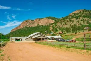 1 Acre Forested Lot In Upscale Community With Power, Underground Utilities And Water Access