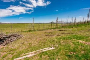 2.5 Acre Pre-Cleared Hillside Lot With Underground Utilities In Upscale Forested Community