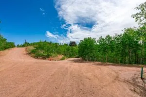 1 Acre Forested Lot In Upscale Community With Power, Underground Utilities And Water Access