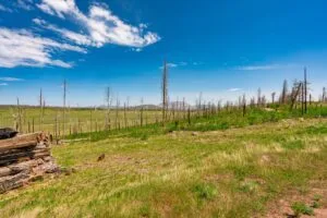 2.5 Acre Pre-Cleared Hillside Lot With Underground Utilities In Upscale Forested Community