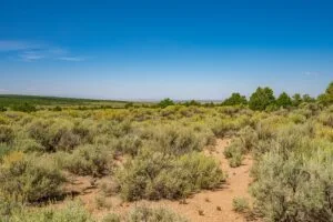 5.7 Acre Corner Lot With Power Close To Mountain Home Reservoir
