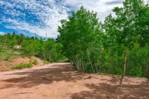 1 Acre Forested Lot In Upscale Community With Power, Underground Utilities And Water Access