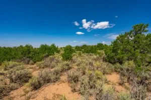 5.7 Acre Corner Lot With Power Close To Mountain Home Reservoir
