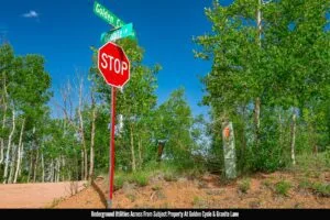 1 Acre Forested Lot In Upscale Community With Power, Underground Utilities And Water Access