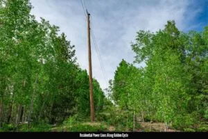 1 Acre Forested Lot In Upscale Community With Power, Underground Utilities And Water Access