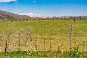 2.5 Acre Pre-Cleared Hillside Lot With Underground Utilities In Upscale Forested Community