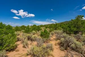 5.7 Acre Corner Lot With Power Close To Mountain Home Reservoir
