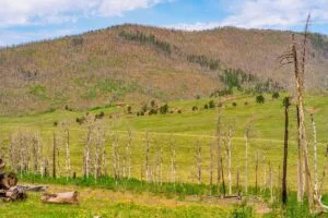2.5 Acre Pre-Cleared Hillside Lot With Underground Utilities In Upscale Forested Community