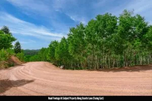 1 Acre Forested Lot In Upscale Community With Power, Underground Utilities And Water Access