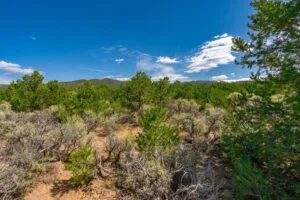 5.7 Acre Corner Lot With Power Close To Mountain Home Reservoir