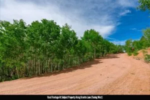 1 Acre Forested Lot In Upscale Community With Power, Underground Utilities And Water Access