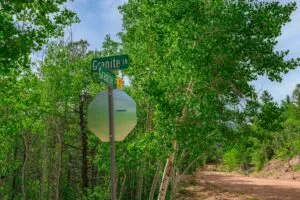 1 Acre Forested Lot In Upscale Community With Power, Underground Utilities And Water Access