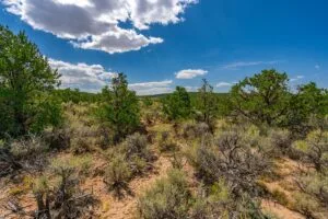 5.7 Acre Corner Lot With Power Close To Mountain Home Reservoir