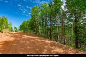 1 Acre Forested Lot In Upscale Community With Power, Underground Utilities And Water Access