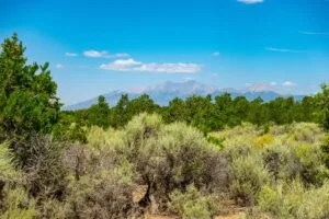 5.7 Acre Corner Lot With Power Close To Mountain Home Reservoir