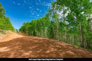 1 Acre Forested Lot In Upscale Community With Power, Underground Utilities And Water Access