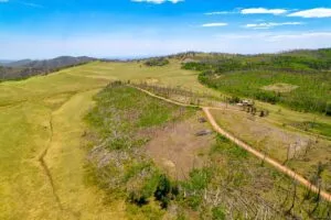2.5 Acre Pre-Cleared Hillside Lot With Underground Utilities In Upscale Forested Community