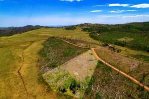 2.5 Acre Pre-Cleared Hillside Lot With Underground Utilities In Upscale Forested Community