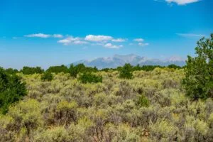 5.7 Acre Corner Lot With Power Close To Mountain Home Reservoir