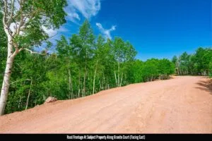 1 Acre Forested Lot In Upscale Community With Power, Underground Utilities And Water Access