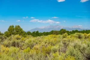 5.7 Acre Corner Lot With Power Close To Mountain Home Reservoir