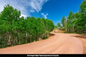1 Acre Forested Lot In Upscale Community With Power, Underground Utilities And Water Access