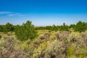 5.7 Acre Corner Lot With Power Close To Mountain Home Reservoir