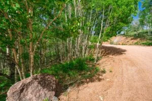 1 Acre Forested Lot In Upscale Community With Power, Underground Utilities And Water Access
