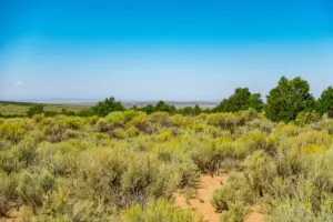 5.7 Acre Corner Lot With Power Close To Mountain Home Reservoir