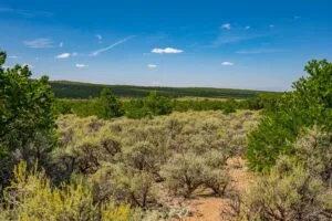 5.7 Acre Corner Lot With Power Close To Mountain Home Reservoir