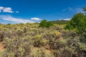 5.7 Acre Corner Lot With Power Close To Mountain Home Reservoir