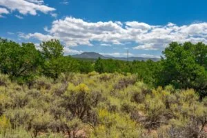 5.7 Acre Corner Lot With Power Close To Mountain Home Reservoir