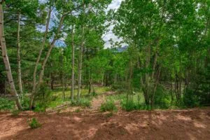 1 Acre Forested Lot In Upscale Community With Power, Underground Utilities And Water Access