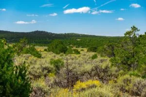 5.7 Acre Corner Lot With Power Close To Mountain Home Reservoir